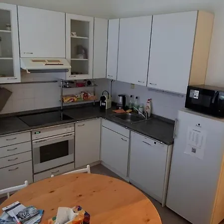 Apartman Zelezna Ruda 公寓 *
